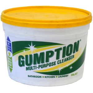 Gumption