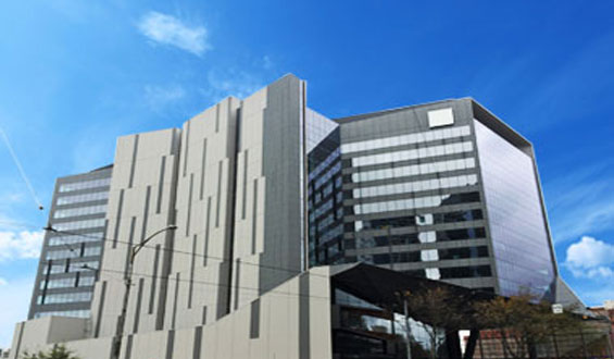 Porous Mineral Surfaces