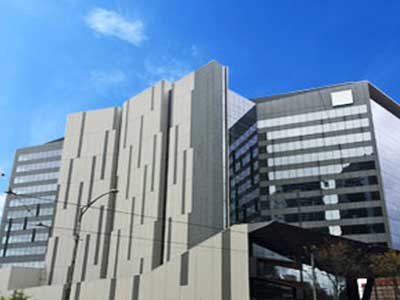 Porous Mineral Surfaces Porous Mineral Surfaces