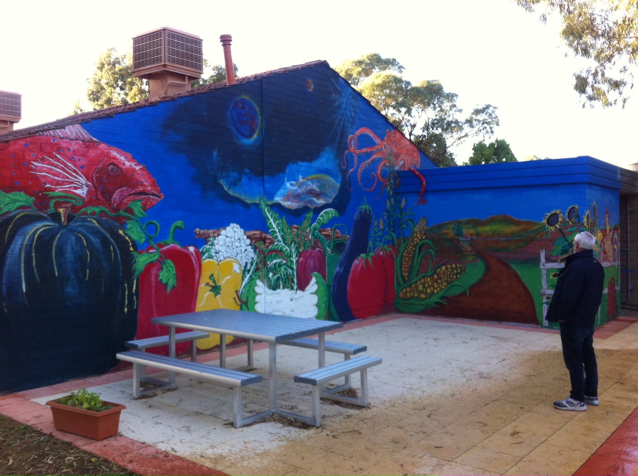 Nanokote EcoBarrier Anti Graffiti Coating – Perth Primary School